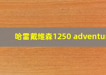 哈雷戴维森1250 adventure